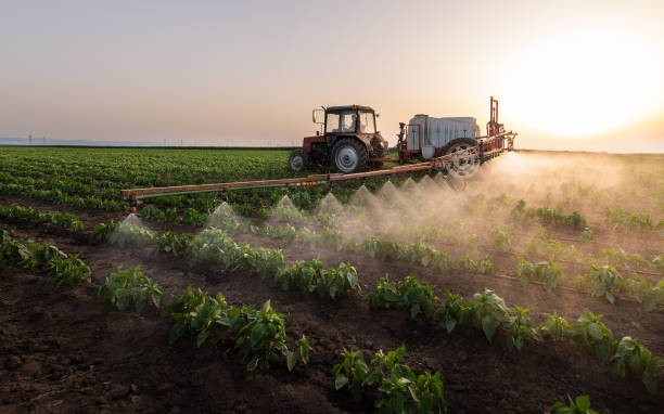 Professional Pest Control in Sioux Falls, SD