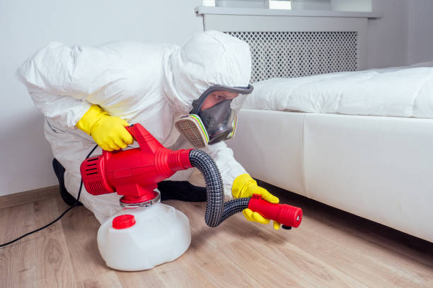 Best Flea Control Services  in Sioux Falls, SD