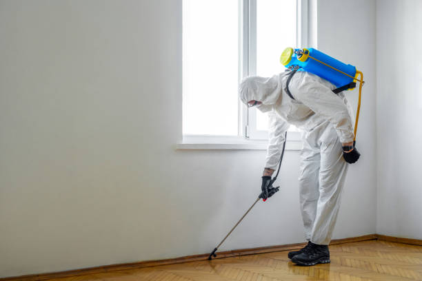 Best Wasp Removal Services  in Sioux Falls, SD