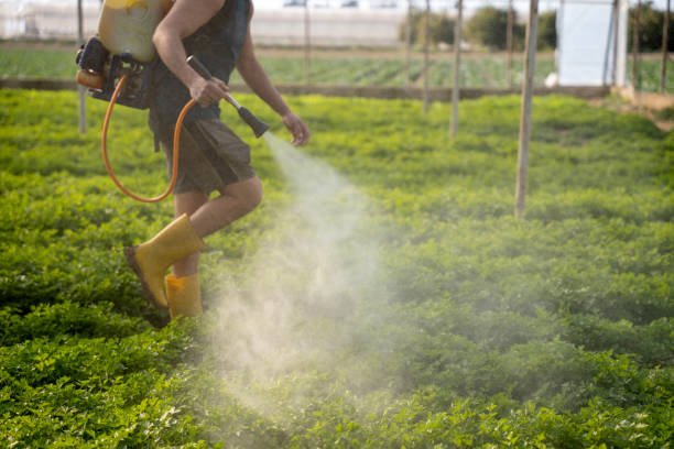 Best Pest Control Near Me  in Sioux Falls, SD