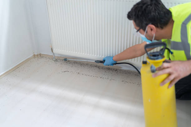 Best Cockroach Control Services  in Sioux Falls, SD